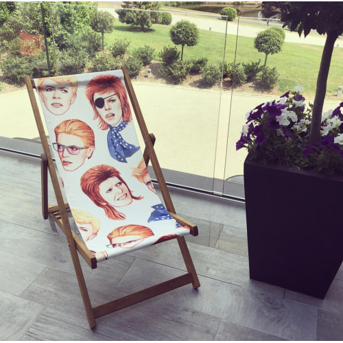 Fabulous Bowie - canvas deck chair by Helen Green